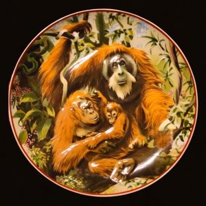 Vtg 1984 Plate World Wildlife Fund Villeroy & Boch Heinrich Germany Orangutan